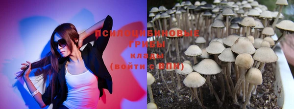 дмт Абаза